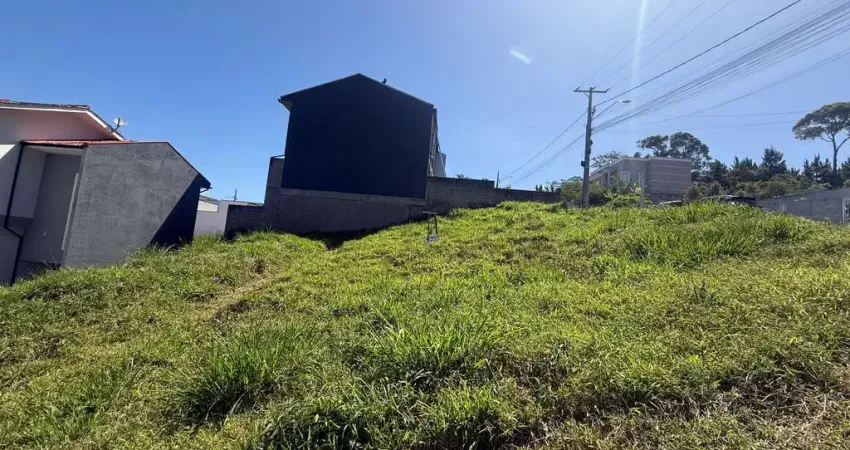 Terreno à venda na Rua Helmuth Fett, Potecas, São José