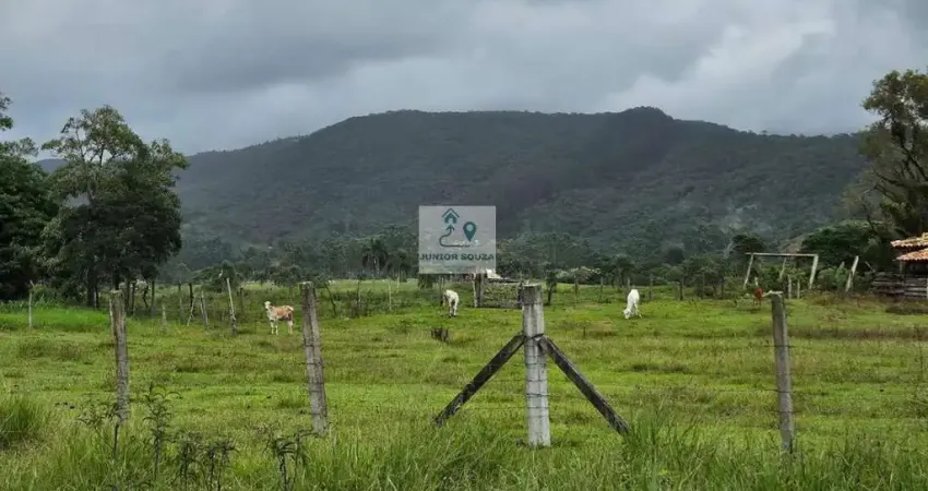 Terreno à venda na Rua Aberlado Juvêncio Rodrigues, 378, Morro do Freitas, Paulo Lopes