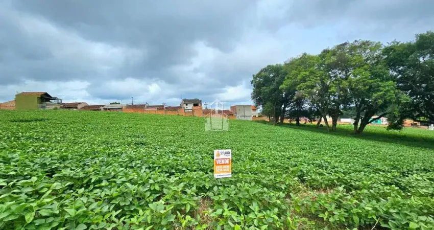 Terreno à venda na Policarpo Ferreira de Miranda, 177, Loteamento Itaboa, Campo Largo