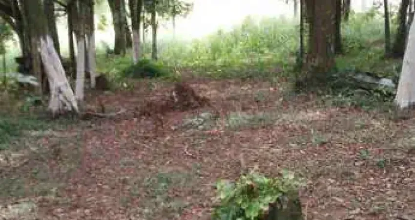 Terreno à venda na Estrada Municipal, Zona Rural, Biritiba-Mirim