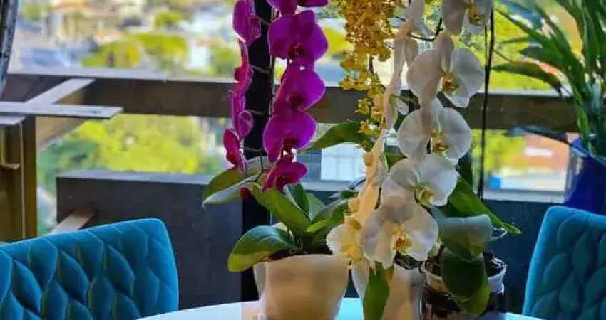 Apartamento com 1 quarto para alugar na Rua R Francisco Leitão, Jardim América, São Paulo