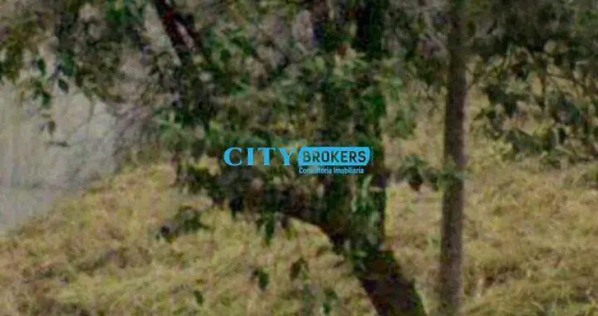 Terreno à venda na Avenida Henrique Broseghini, Adalgisa, Osasco