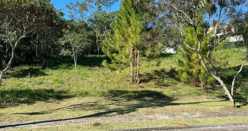 Terreno à venda na Rua R Angelin, Centro, Santa Isabel