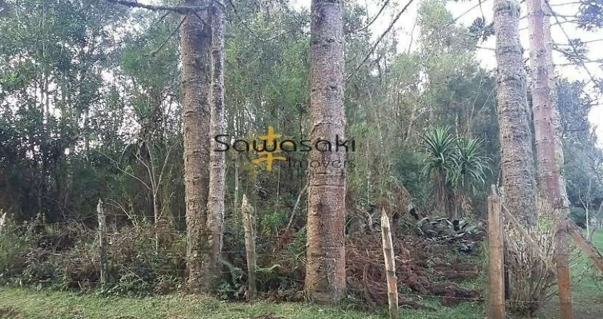 Terreno Lote para Venda em Rio de Una São José dos Pinhais-PR