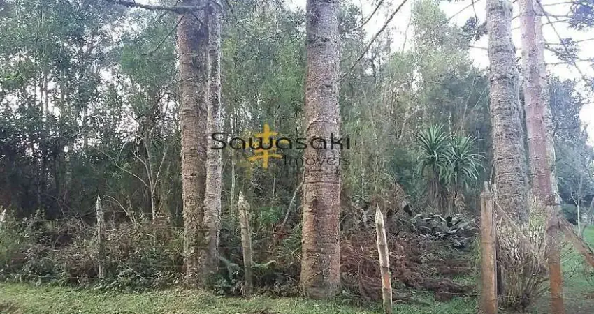 Terreno Lote para Venda em Rio de Una São José dos Pinhais-PR