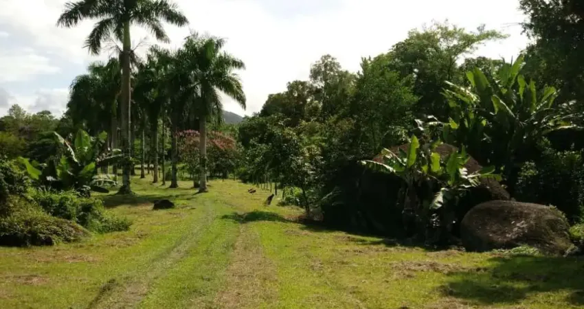 Chácara / sítio com 1 quarto à venda na Rua Rio das Pedras, s/n, Centro, Antonina