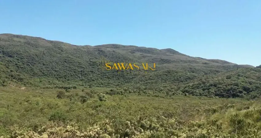Fazenda à venda na Região de Araçatuba em Tijucas do Sul, Centro, Tijucas do Sul