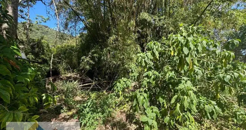 Terreno à venda na Avenida Luiz Boiteux Piazza, Canasvieiras, Florianópolis