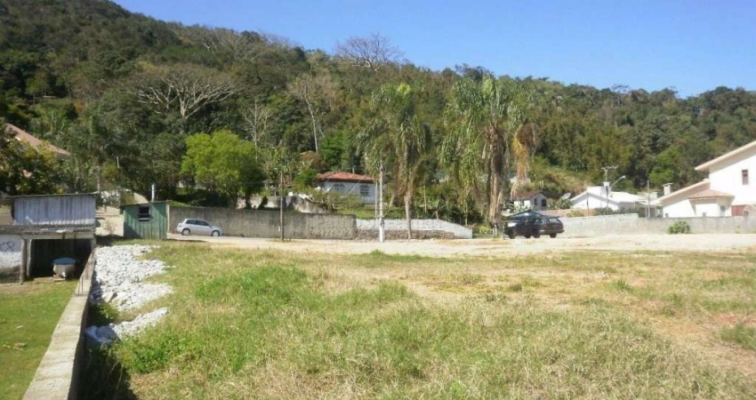 Chácara / sítio à venda na Rua Assis Brasil, 6563, Ponta de Baixo, São José