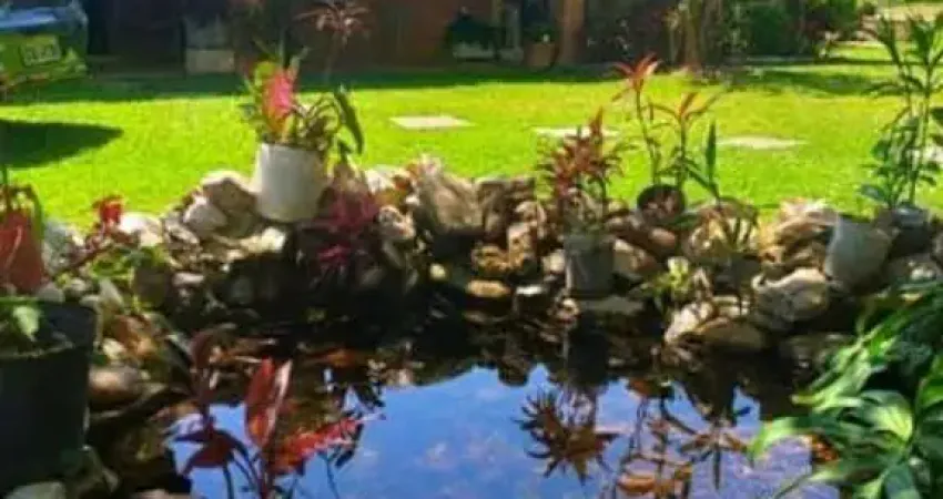 CHÁCARA COM ESCRITURA DE 22.000 M²/ PISCINA/CASA  À VENDA/ALUGA  MAIRINQUE