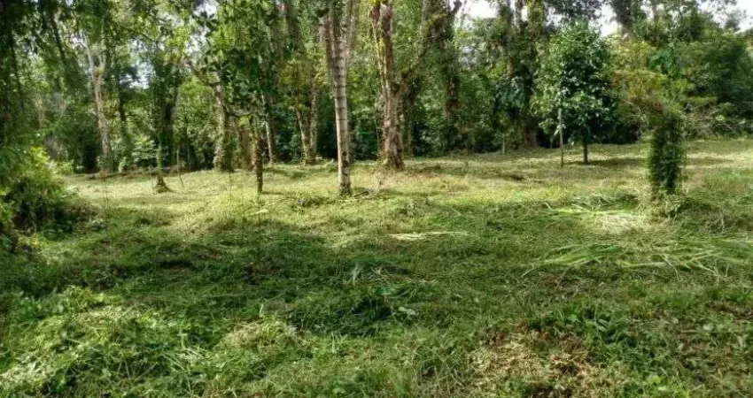 Terreno com escritura em Itanhaém.
