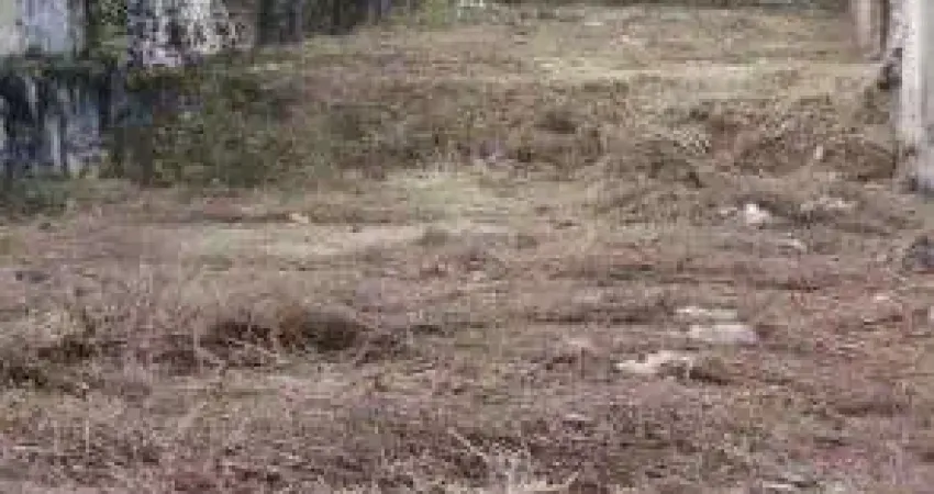 Terreno com liberação ambiental e escritura em Itanhaém.