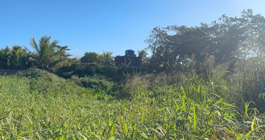 Terreno frente mar com liberação ambiental em Itanhaém.
