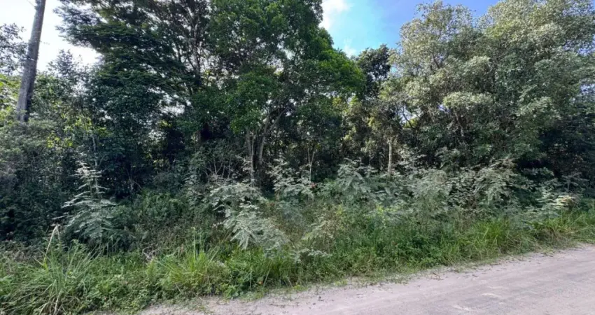 Terreno de chácara em Itanhaém.