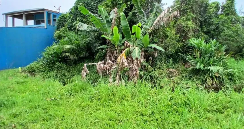 Terreno com escritura à 500m da rodovia em Itanhaém.