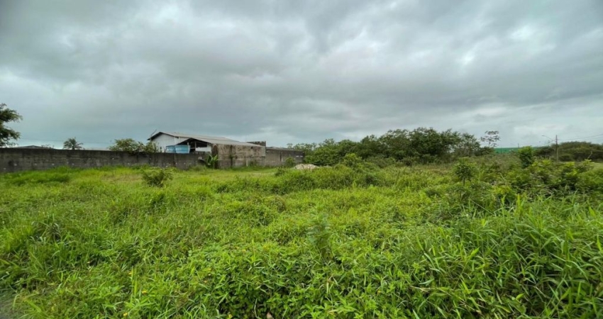 Terreno com liberação ambiental e escritura em Itanhaém.