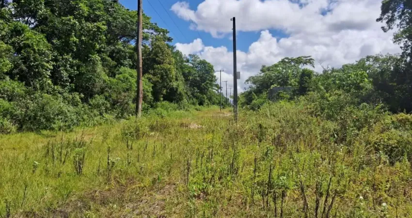 Terreno à venda na Praça Ângelo Guerra, 14084, Jardim Anchieta, Itanhaém