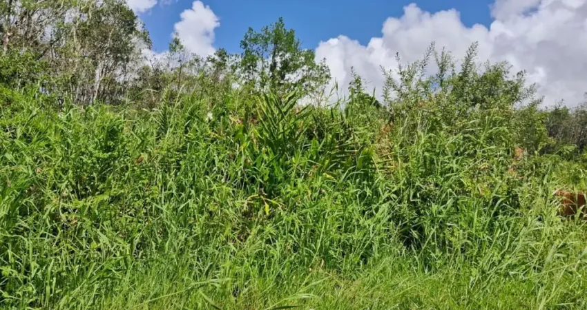 Terreno à venda na Praça Ângelo Guerra, 14083, Jardim São Fernando, Itanhaém