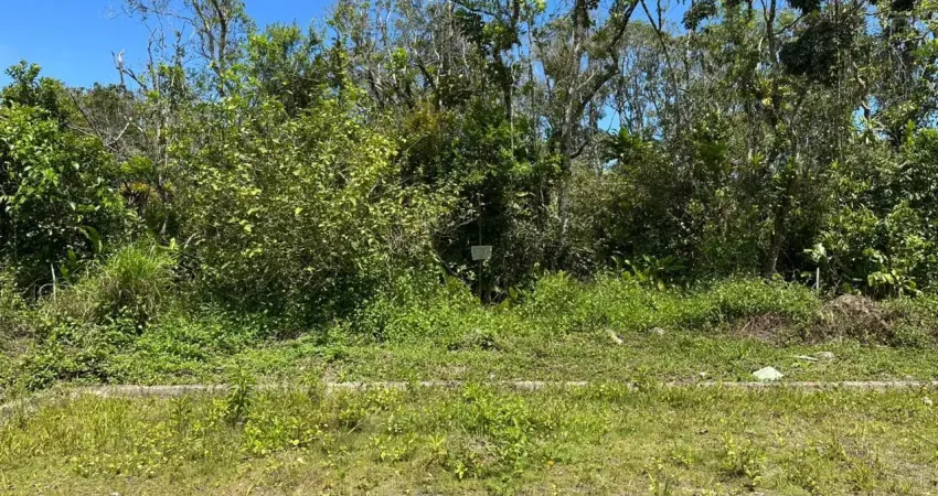 Terreno à venda na Praça Ângelo Guerra, 13661, Balneario Fênix, Itanhaém
