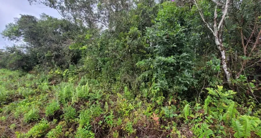 Terreno à venda na Praça Ângelo Guerra, 13650, Jardim Coronel, Itanhaém