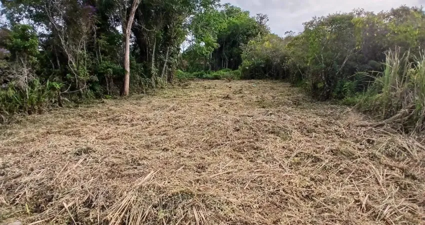 Terreno com liberação ambiental em itanhaém - r$ 85.000,00.