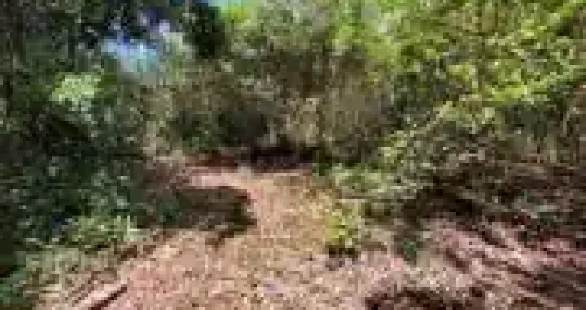 Terreno de chácara com escritura em itanhaém - r$ 50.000,00.