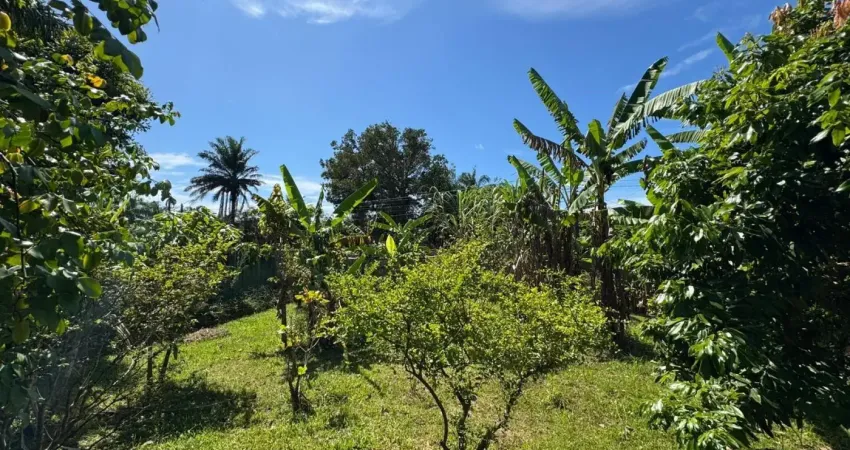 Terreno à venda na Praça Ângelo Guerra, 053, Jardim das Palmeiras, Itanhaém