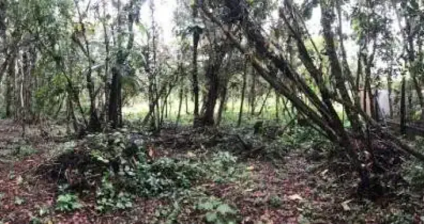 Terreno de chácara com escritura em itanhaém - r$ 115.000,00.