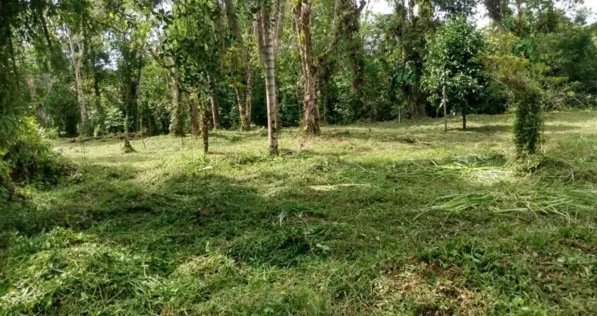 Terreno à venda na Praça Ângelo Guerra, 029, Parque Vergara, Itanhaém