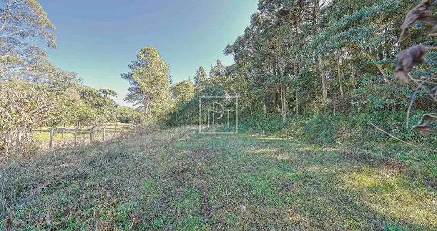 Terreno à venda na Rua José Izidoro Biazetto, 530, Ecoville, Curitiba