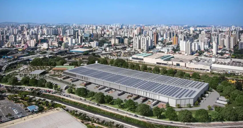 Barracão / Galpão / Depósito para alugar na Avenida Antônio Cardoso, 372, Bangú, Santo André