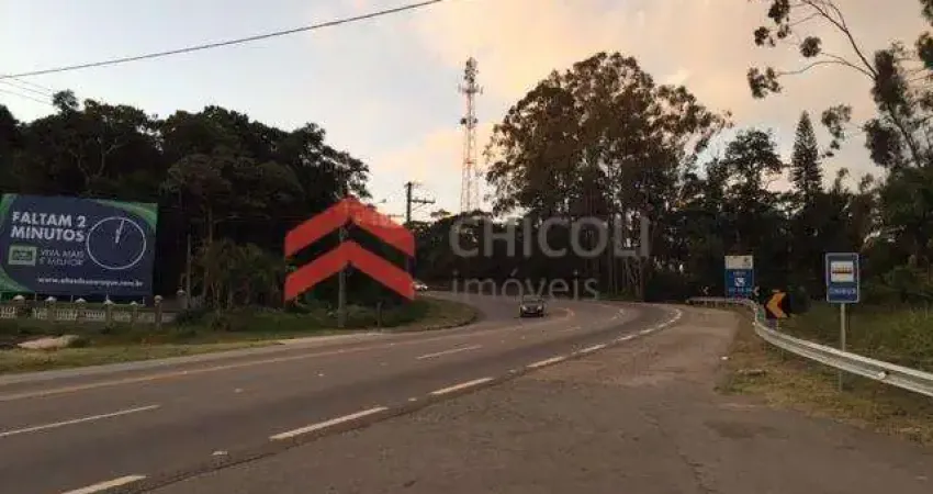 Terreno comercial para alugar na Rodovia Raposo Tavares, Jardim Bandeirantes, São Roque