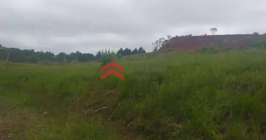Terreno à venda na da Escola Agrícola, 2, Chácara São José, Cotia