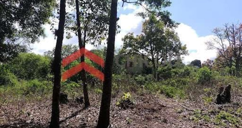 Chácara / sítio com 2 quartos à venda na De Servídão, Centro, Ibiúna