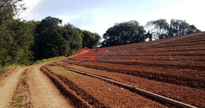 Terreno à venda na Bunjiro Nakao, 75000, Rio de Una, Ibiúna