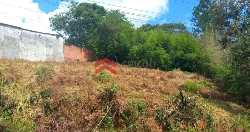 Terreno à venda na Municipal, 23, Centro, Ibiúna