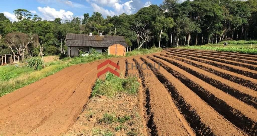 Terreno à venda na Das Graças, 159, Chácara Rincão, Cotia