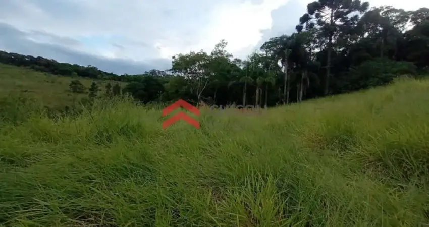 Terreno à venda na Dos Vargas, Caete (Mailasqui), São Roque