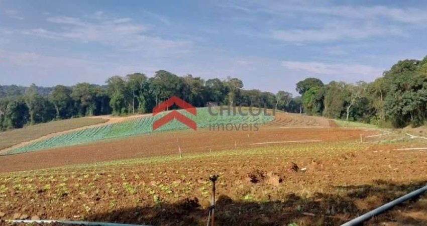 Terreno à venda na da Lagoa, 1, Jardim São Marcos, Itapevi