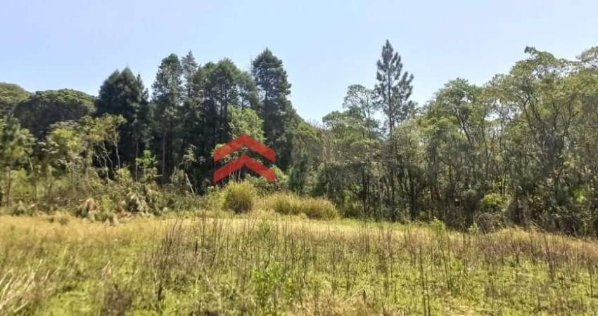 Terreno à venda na do Verava, 1, Centro, Ibiúna
