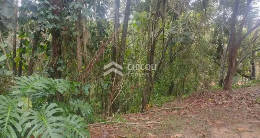Terreno à venda no Colinas de São Fernando, Cotia
