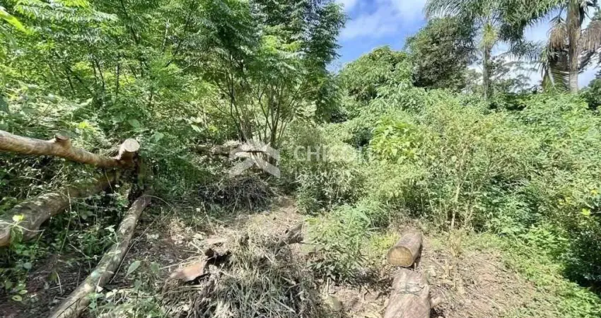 Terreno comercial para alugar na Vila Santo Antônio, Cotia 
