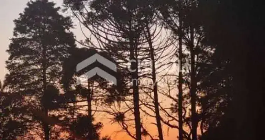 Casa com 6 quartos à venda na Vila Darcy Penteado (Mailasqui), São Roque