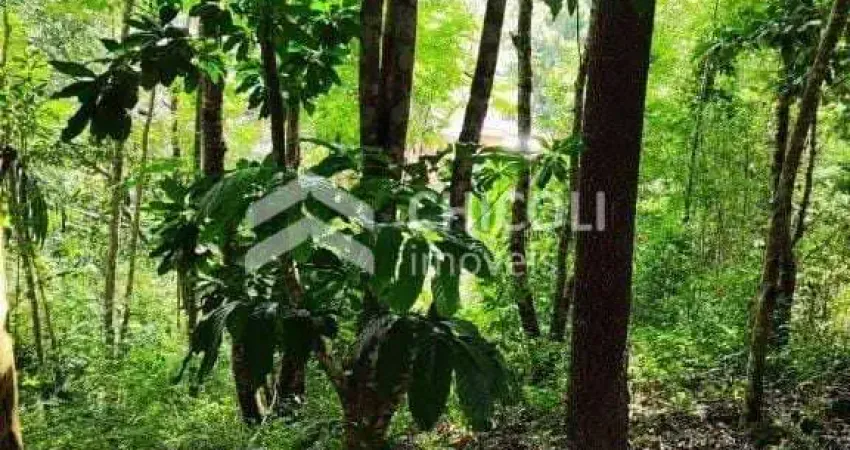 Terreno à venda no Centro, Vargem Grande Paulista 