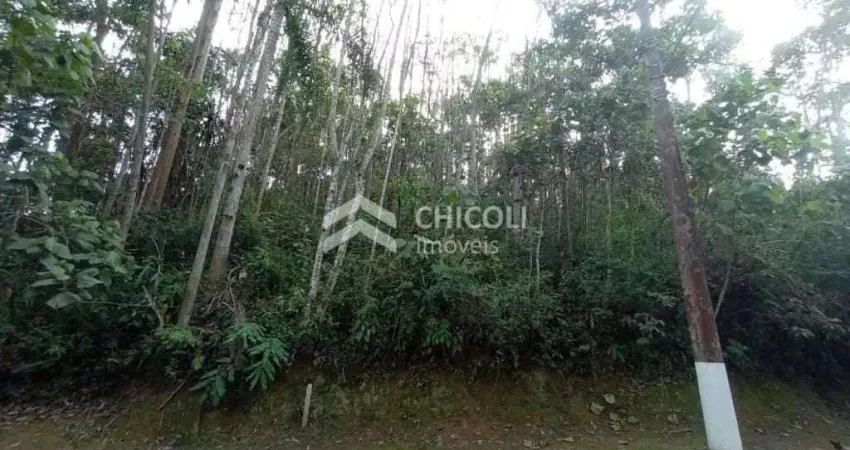 Terreno à venda no Centro, Vargem Grande Paulista 