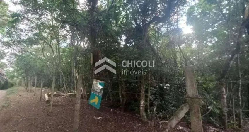 Terreno à venda no Água Espraiada (Caucaia do Alto), Cotia 