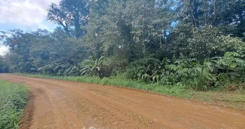 Terreno comercial à venda na Estrada Do Salto, Vila Nova, Joinville