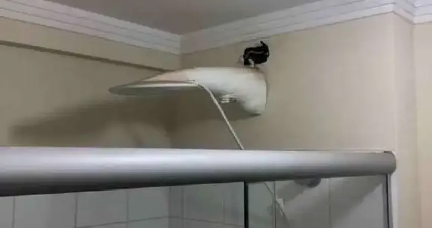 Apartamento com 1 quarto à venda na Rua Francisco Rodrigues Borges, Vila Maracy, Bauru