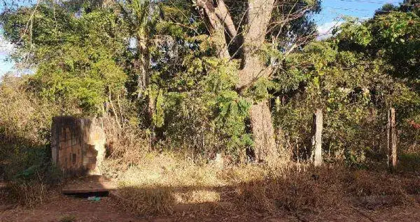 Oportunidade Única em SANTO ANTONIO DO DESCOBERTO - GO | Tipo: Terreno | Negociação: Venda Direta Online  | Situação: Imóvel
