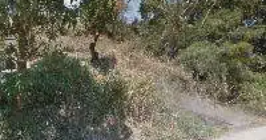 Oportunidade Única em SAO GONCALO - RJ | Tipo: Terreno | Negociação: Venda Direta Online  | Situação: Imóvel